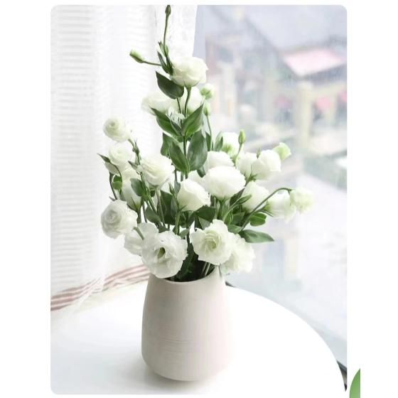 Large White Lisianthus